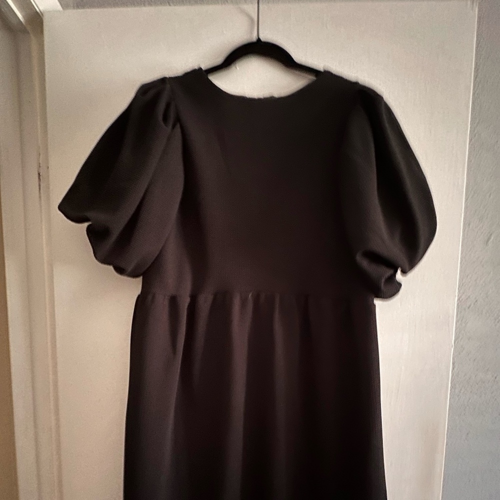 Balloon Short Sleeve Back Opening with Tie Mini Dress